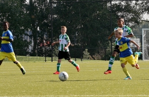 cambuur d1  pec zwolle foto 2